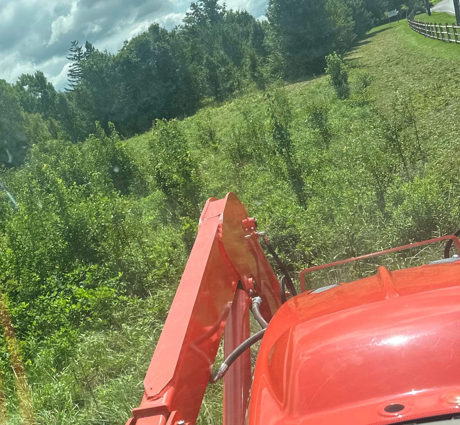 Tractor loader arm facing tall overgrown brush along a field edge