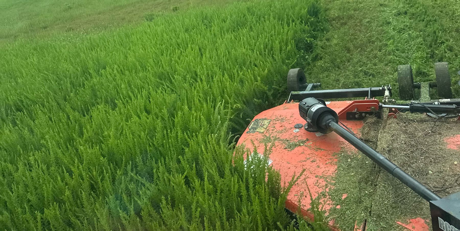 Orange rotary cutter mowing through tall, overgrown grass